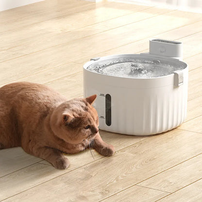 2l cat drinking fountain. - Big Pet Buys