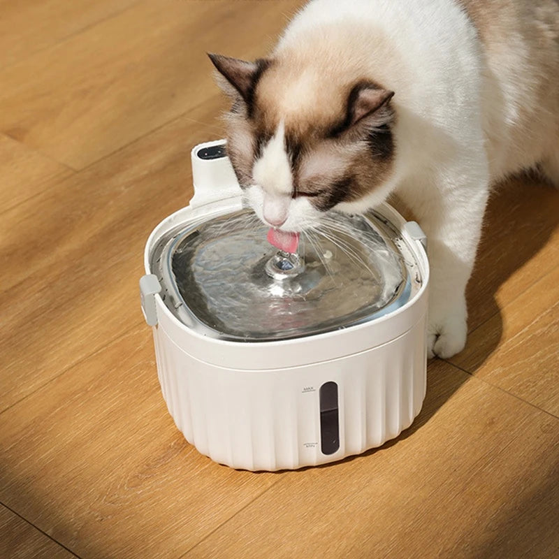 2l cat drinking fountain. - Big Pet Buys