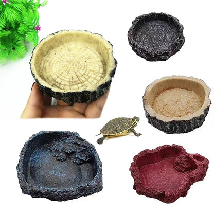 Pet Reptile Feeder Bowl. - Big Pet Buys