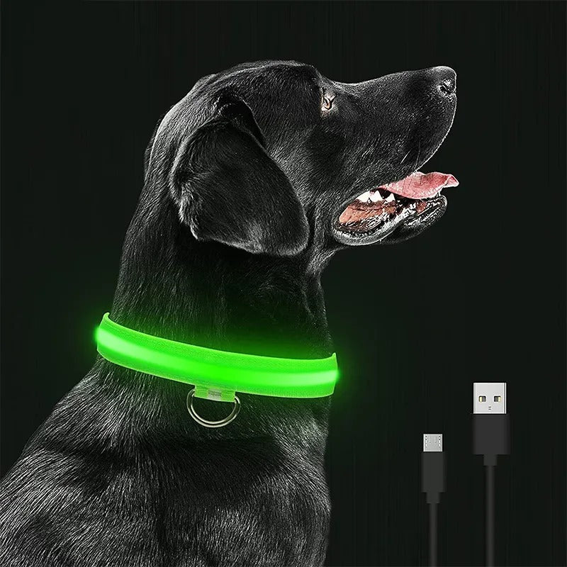 LED Glowing Dog Collars Rechargeable Waterproof - Big Pet Buys