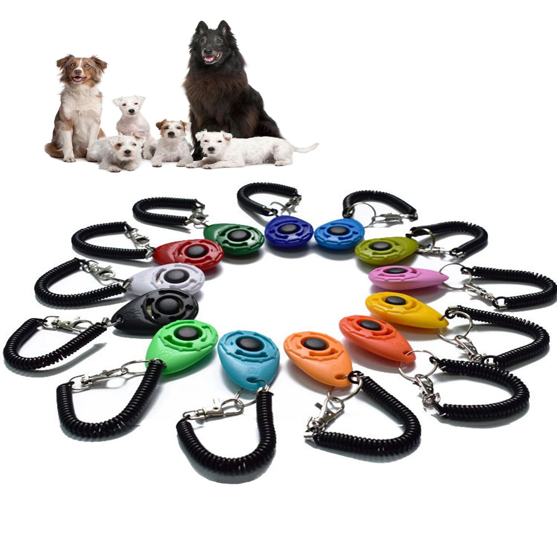 Dog Training Clicker. - Big Pet Buys