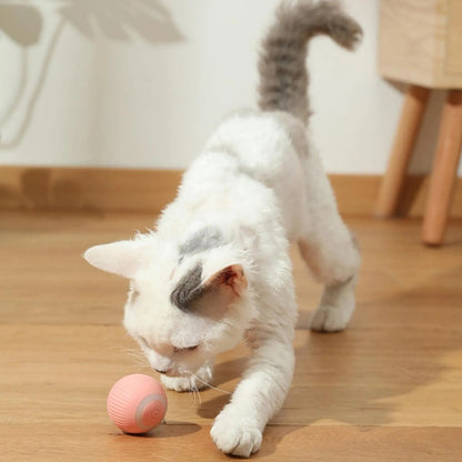 Cat Gravity Ball