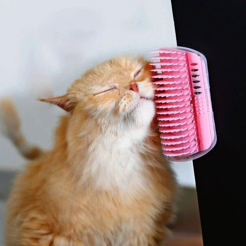 Attachable cat scratching brush.