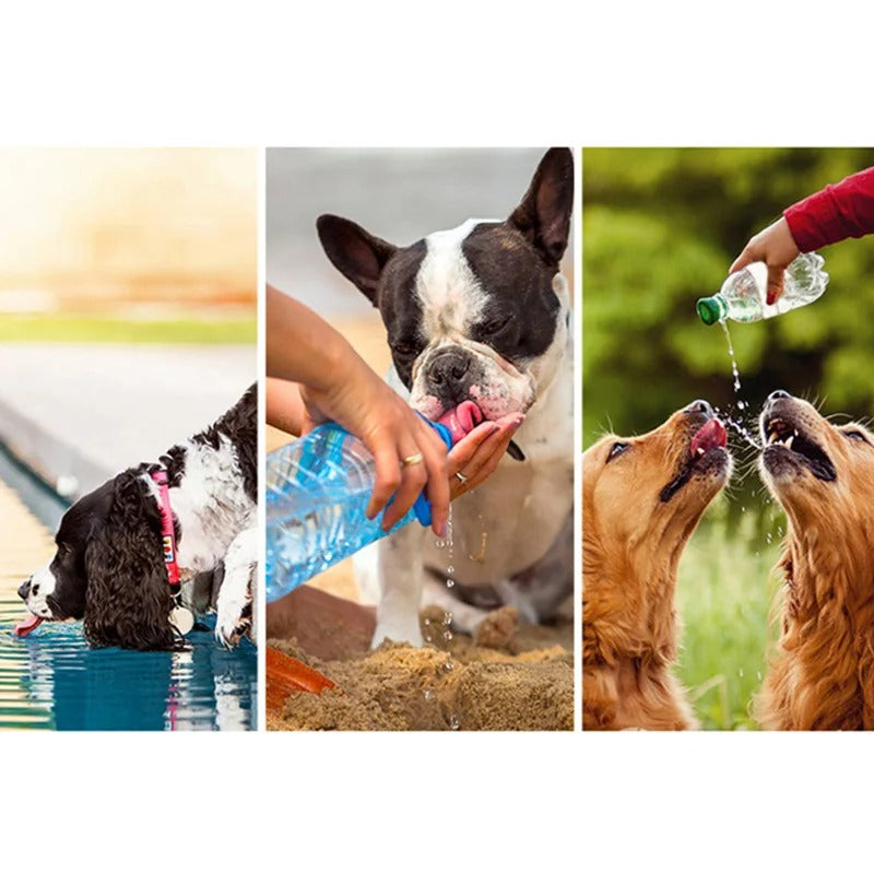 Dog portable Water Bottle.