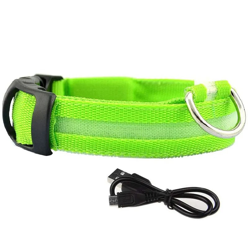 LED Glowing Dog Collars Rechargeable Waterproof - Big Pet Buys