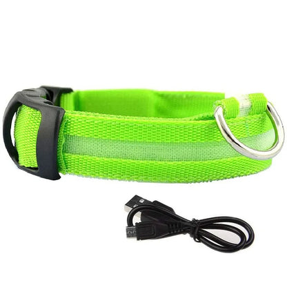 LED Glowing Dog Collars Rechargeable Waterproof - Big Pet Buys