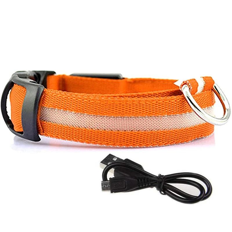 LED Glowing Dog Collars Rechargeable Waterproof - Big Pet Buys