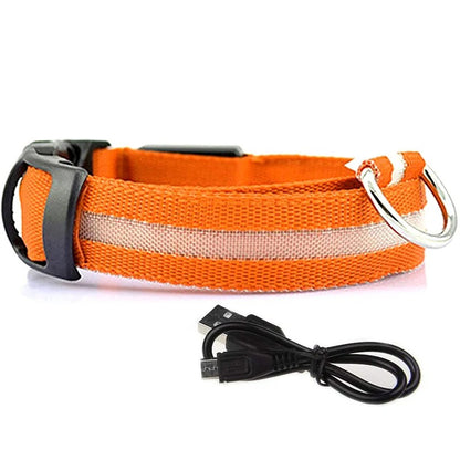 LED Glowing Dog Collars Rechargeable Waterproof - Big Pet Buys