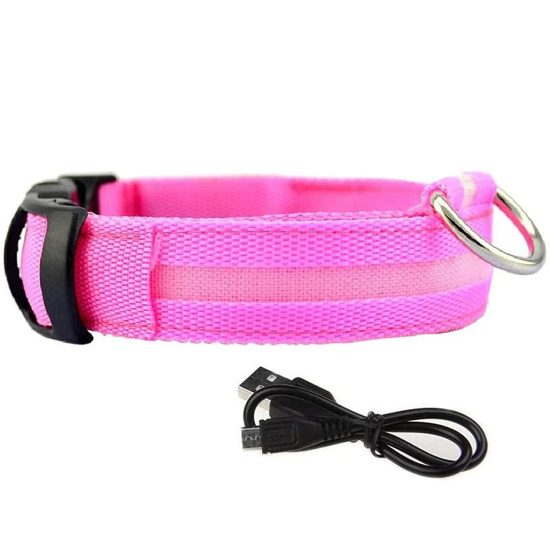 LED Glowing Dog Collars Rechargeable Waterproof - Big Pet Buys