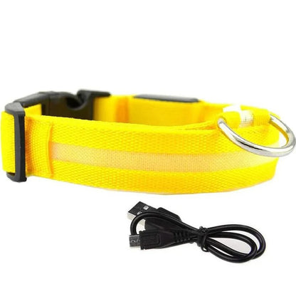 LED Glowing Dog Collars Rechargeable Waterproof - Big Pet Buys